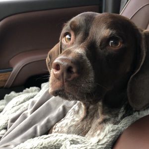 Meet your Posher, John